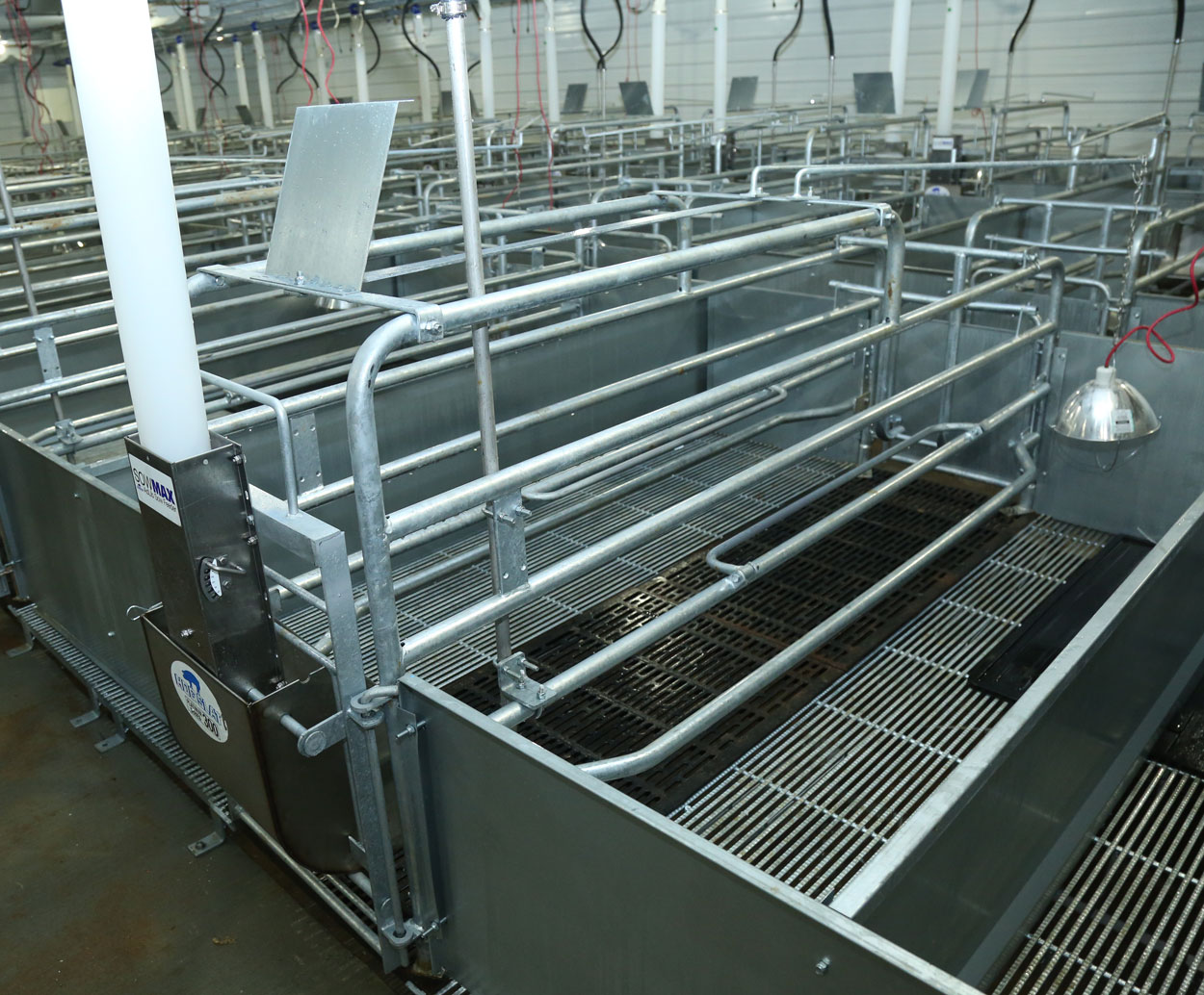 Hog Slat Ultimate farrowing crate installed in a new construction farrowing barn. The hot-dipped galvanized finish provides superior corrosion resistance, and the TriDek/Cast Iron flooring combination creates a cool floor environment for the sow and improved traction for young pigs moving around the creep area. (Also shown: Hog Slat galvanized creep panels, SowMAX ad-lib sow feeder and Hog Slat Platinum Series 300 stainless steel small sow bowl feeder)