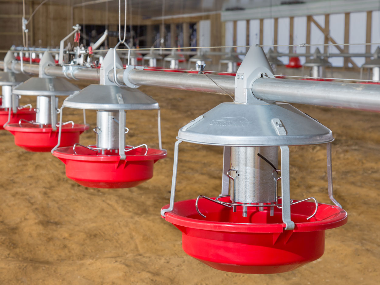 GrowerSELECT® Adult Turkey Feeders installed on GrowerSELECT turkey feed line tubing.