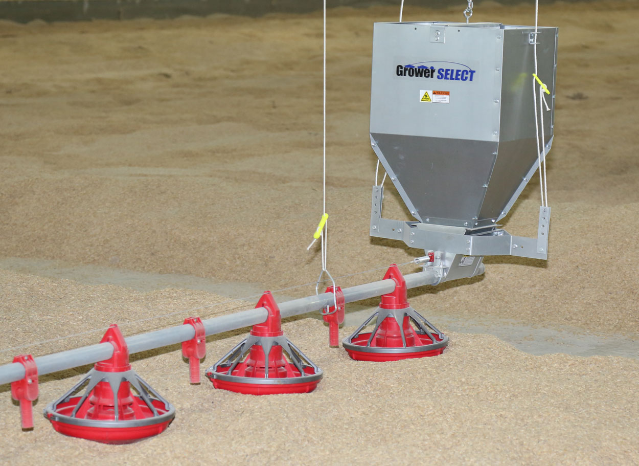 GrowerSELECT® unloader kits transition feed from the poultry hopper into the feed line pipe where Grow-Flex™ 44mm poultry auger conveys it through the house filling feeders. (Shown: Classic Flood™ chicken pan feeders and Kwik-Start chick drops.)