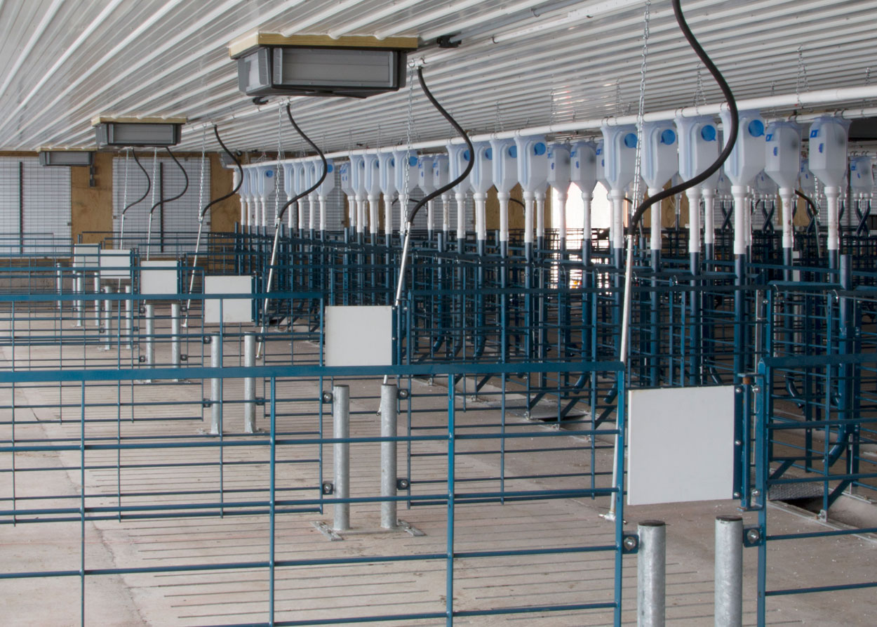 Hog Slat stanchion pens can be installed with walk-through posts and optional “saloon-style” doors. The 3” posts anchor the penning panels and allow workers to slip between them while checking sows in each pen. The swinging door discourages sows from attempting to jump through the opening.
